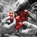 Get Wineries (@getwineries) Twitter profile photo Get Wineries (@getwineries) Twitter profile photo