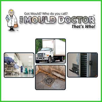 Mould Doctor specialises in cleaning and sanitising truck cabins. We also clean, sanitise and coat airconditioners of trucks and for the business.