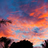 fotocontest2010's profile image