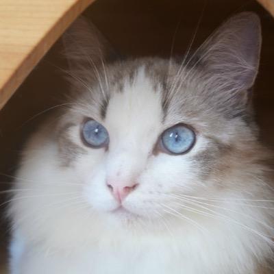 klbjb2020's profile picture. 