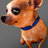 doglikesparky's profile image