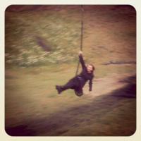 Halldóra Anna Hagalín (@hahagalin) 's Twitter Profile