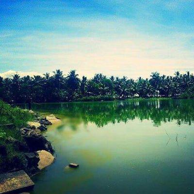 newirakkamam's profile picture. Organization in Irakkamam, srilanka 
https://t.co/MCegvYFGep