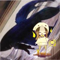 琥珀@まひろす (@kohafuta) Twitter profile photo