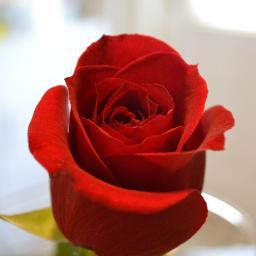 Modelmomlife's profile picture. Tell it like it is.. call it like I see..