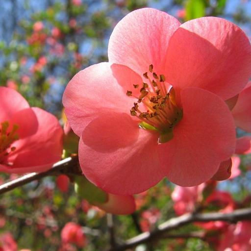 kspatel87's profile picture. 