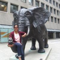 Dr. Bhairavi Shankar (@planscib) 's Twitter Profile