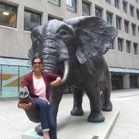 Dr. Bhairavi Shankar(@planscib) 's Twitter Profile Photo