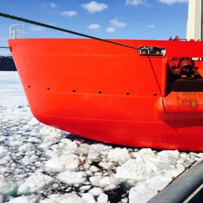 m_normore's profile picture. Captain