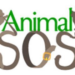 Our main focus is helping companion animals stay in loving homes.