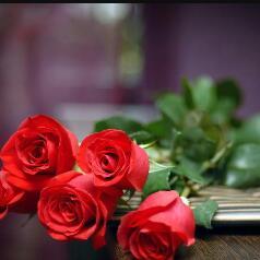 zgat8doedhrg8ko's profile picture. 