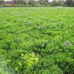 MHBorchardt's profile picture. 