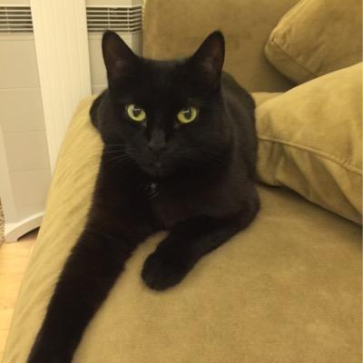 fobbyal's profile picture. Alex Liang