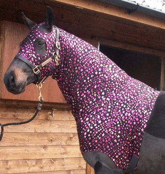 manedealer's profile picture. 