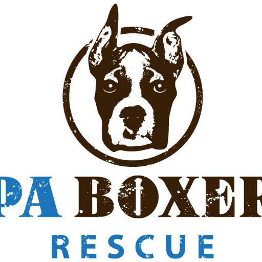 PA Boxers Inc, is a non-profit organization, who is dedicated to rehabilitating and providing a second chance to Boxers regardless of age or medical condition..