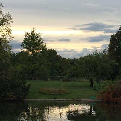 527Bo's profile picture. 