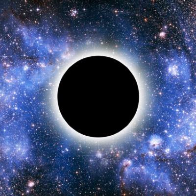 1complexnumber's profile picture. Director