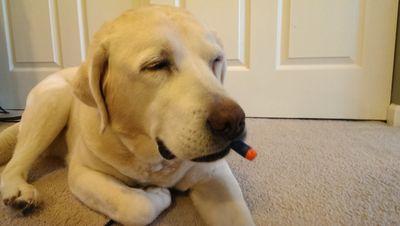 scottg600's profile picture. 