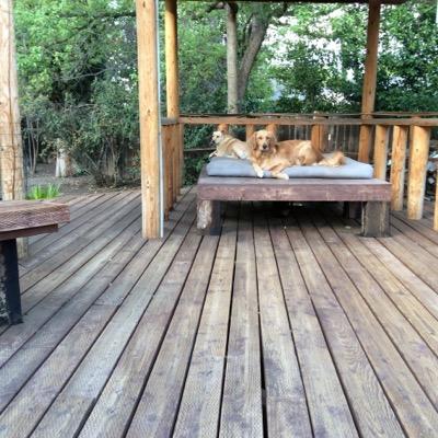 ethanedy's profile picture. 