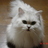 agirakun's profile image