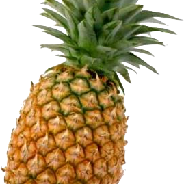 pineapple and leader of neutral hope in aqw.