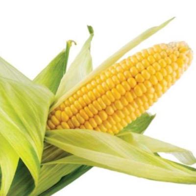 cornycorinne94's profile picture. occupation: dildo