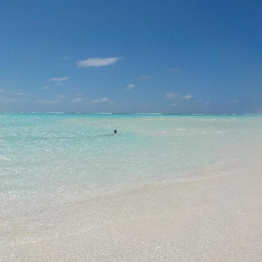 AlainSoret's profile picture. 