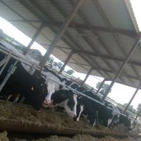 Dieter Gagelmans (@gagelmansdieter) 's Twitter Profile Photo Dieter Gagelmans (@gagelmansdieter) 's Twitter Profile Photo