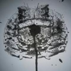 khromamag's profile picture. Toledo's art, lit, culture, uncensored.