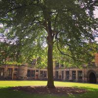 Theatre Studies at UoG (@ts_glasgow) 's Twitter Profile