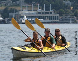 Kayak Shop - rentals and lessons, sea or whitewater,Standup Paddle Boards, SUPs