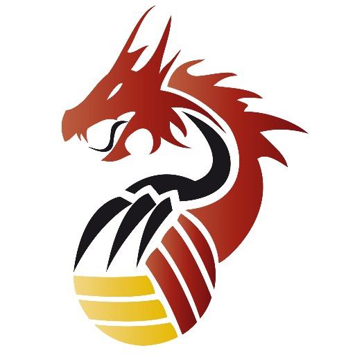 Official Twitter of the Belgian Red Dragons. For every true fan supporting the Belgian national volleyball team!