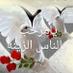 Hassan Salah (@a28ae9a9532b48f) Twitter profile photo Hassan Salah (@a28ae9a9532b48f) Twitter profile photo