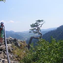 KondratMikolaj's profile picture. 