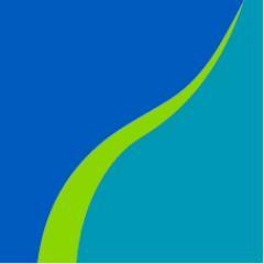Rochester Area Community Foundation Profile