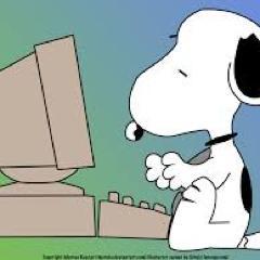 mandoman28's profile picture. #Bears, #WhiteSox