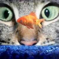 Janet Winstanley 💙 (@drjanwin) 's Twitter Profile