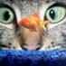 Janet Winstanley π (@drjanwin) Twitter profile photo Janet Winstanley π (@drjanwin) Twitter profile photo