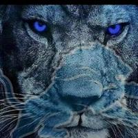 The Colonel (@settlec) 's Twitter Profile