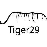 Tiger29 SEO(@TigerTwentyNine) 's Twitter Profile Photo