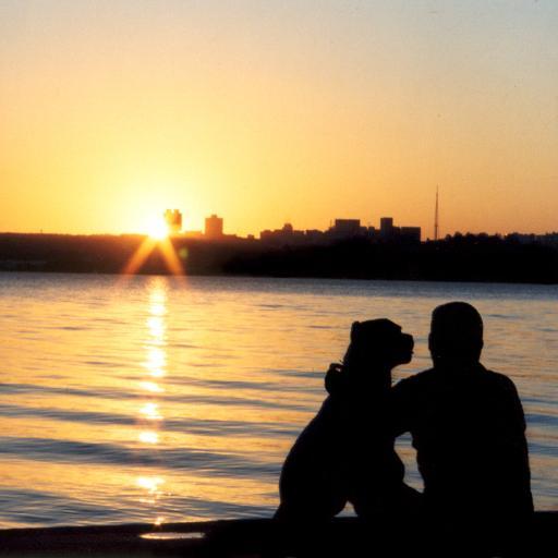 ArturrVlad's profile picture. музыка, танец, фото