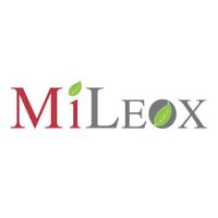 MiLeox(@mileox) 's Twitter Profile Photo