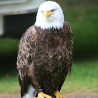Howden Show Sunday 3rd July 2022 (@howdenshow) 's Twitter Profile