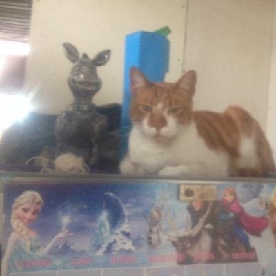 odilehcehc's profile picture. madre de familia, trabajadora y feliz