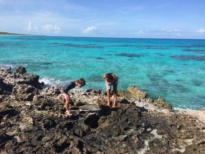 tetotweeting's profile picture. 