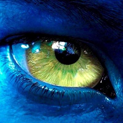 polli69's profile picture. 