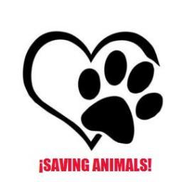 ANIMALS_SOS's profile picture. Somos una comunidad que tenemos como objetivo acabar con el maltrato animal que actualmente se está dando en mayor proporción.