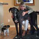 Kimberly Johnson - @KJColorado - Twitter