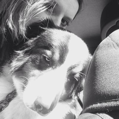 heavolleyball55's profile picture. 