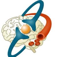 Brain in Motion Team (@braininmotion) 's Twitter Profile